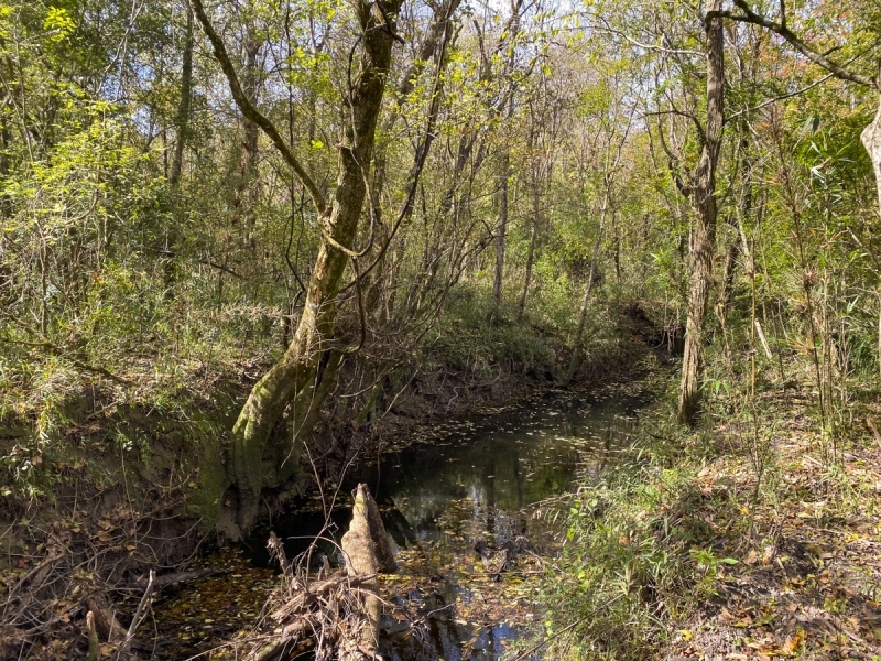 195 Acres &nbsp; US 190 featured image