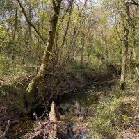 195 Acres &nbsp; US 190