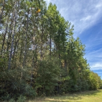195 Acres &nbsp; US 190 images 2