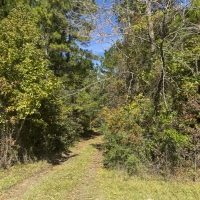 195 Acres &nbsp; US 190 images 3
