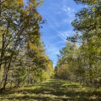 195 Acres &nbsp; US 190 images 5