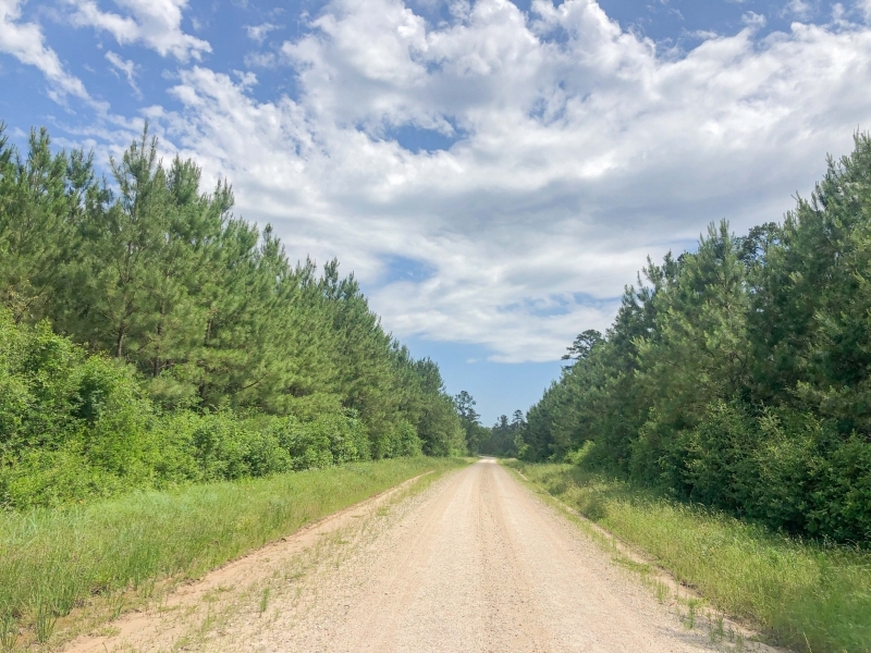 183 Acres &nbsp; Lost Indian Camp Road &nbsp; Tract 5302 featured image