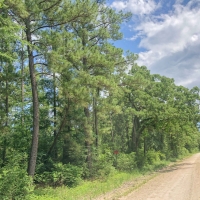 183 Acres &nbsp; Lost Indian Camp Road &nbsp; Tract 5302 images 3