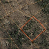 7 acres Woodlands near Mad River State Forest images 6