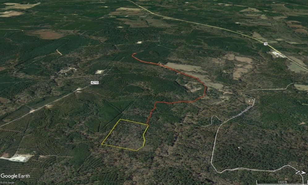 21 Acres &nbsp; Off CR 4210 featured image