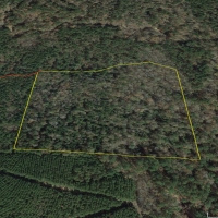 21 Acres &nbsp; Off CR 4210 images 3