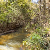 340 Acres &nbsp; Z. Hopson images 3