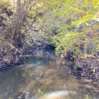340 Acres &nbsp; Z. Hopson images 5