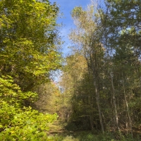 340 Acres &nbsp; Z. Hopson images 6