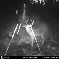 3000+ Acre Monster Buck Hunting Club Open for Membership