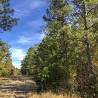28 Acres &nbsp; New Waterwood &nbsp; T-14C images 3