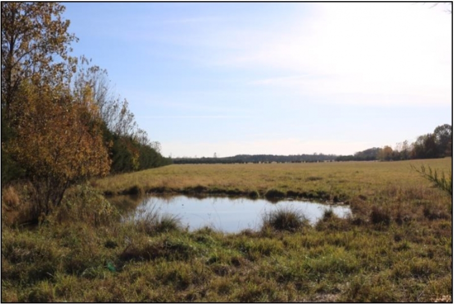 320 Acres with a Home in Oktibbeha County at 496 Mission Road in Starkville  MS featured image
