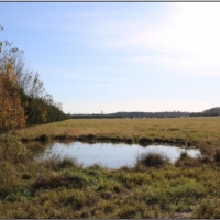 320 Acres with a Home in Oktibbeha County at 496 Mission Road in Starkville  MS