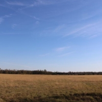 320 Acres with a Home in Oktibbeha County at 496 Mission Road in Starkville  MS images 3