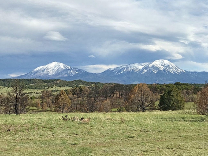 Lot 11A Major Ranch Phase  3 featured image