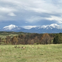 Lot 11A Major Ranch Phase  3