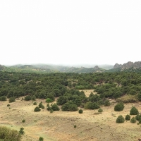 Lot 11A Major Ranch Phase  3 images 6