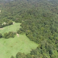 Riverfront Hunting &nbsp; Recreational Ranch For Sale in South Central KY images 1