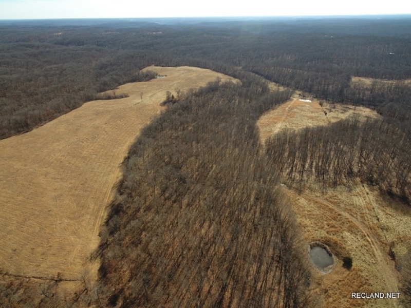 80 ac - Farm with Excellent Access and Ponds featured image