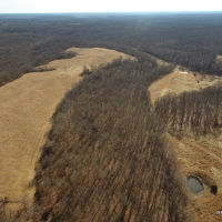 80 ac - Farm with Excellent Access and Ponds