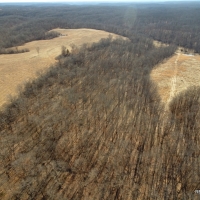 80 ac - Farm with Excellent Access and Ponds images 2