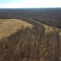 80 ac - Farm with Excellent Access and Ponds images 3