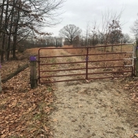 80 ac - Farm with Excellent Access and Ponds images 4