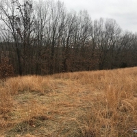 80 ac - Farm with Excellent Access and Ponds images 5