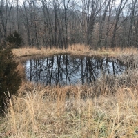 80 ac - Farm with Excellent Access and Ponds images 6