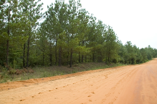 45.32 Acres of Hunting  Fishing and Recreational Land featured image