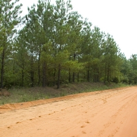 45.32 Acres of Hunting  Fishing and Recreational Land