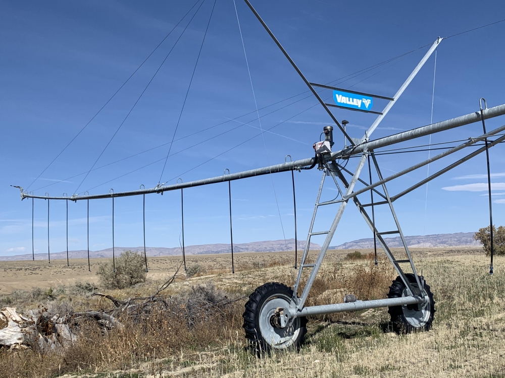 Hammon Land  amp  Livestock featured image