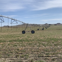 Hammon Land  amp  Livestock images 2