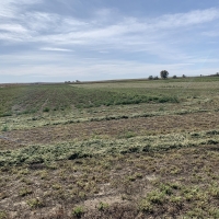 Hammon Land  amp  Livestock images 4