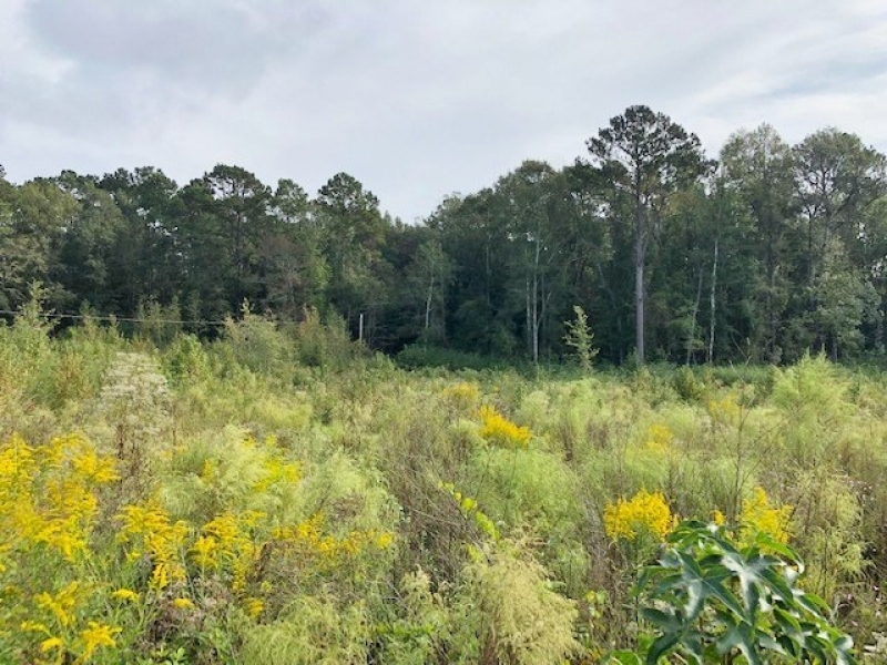 5 Acres-Garner Rd featured image