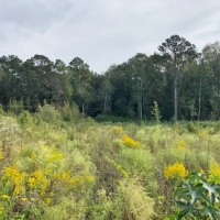 5 Acres-Garner Rd