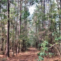 50 Acres-Garner Rd