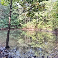 50 Acres-Garner Rd images 4
