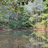 50 Acres-Garner Rd images 5