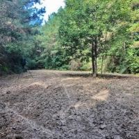 50 Acres-Garner Rd images 6
