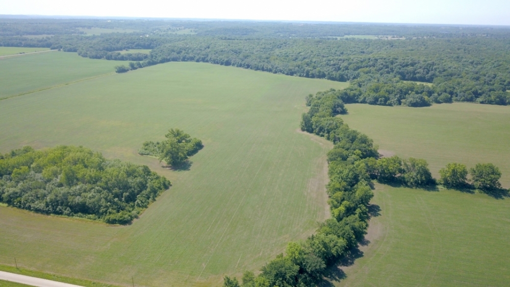Productive Farmland &nbsp; Hunting Property For Sale in Southeast KS featured image