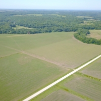 Productive Farmland &nbsp; Hunting Property For Sale in Southeast KS images 2