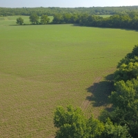 Productive Farmland &nbsp; Hunting Property For Sale in Southeast KS images 3