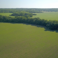 Productive Farmland &nbsp; Hunting Property For Sale in Southeast KS images 4