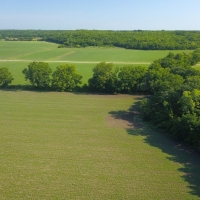 Productive Farmland &nbsp; Hunting Property For Sale in Southeast KS images 5
