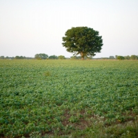 Exceptional Hunting &nbsp; Recreational Ranch For Sale in Eastern KS images 6