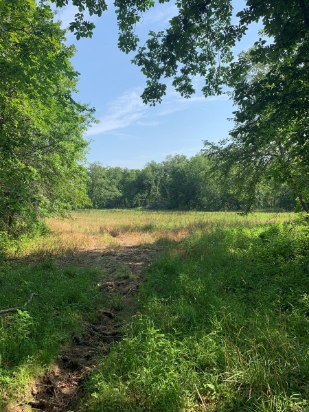 Hunting Land with CRP Income For Sale in Northeast MO featured image