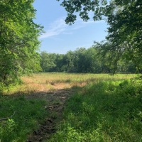 Hunting Land with CRP Income For Sale in Northeast MO