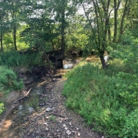 Hunting Land with CRP Income For Sale in Northeast MO images 3