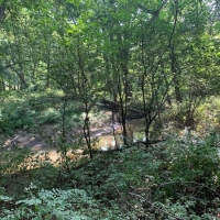 Hunting Land with CRP Income For Sale in Northeast MO images 4